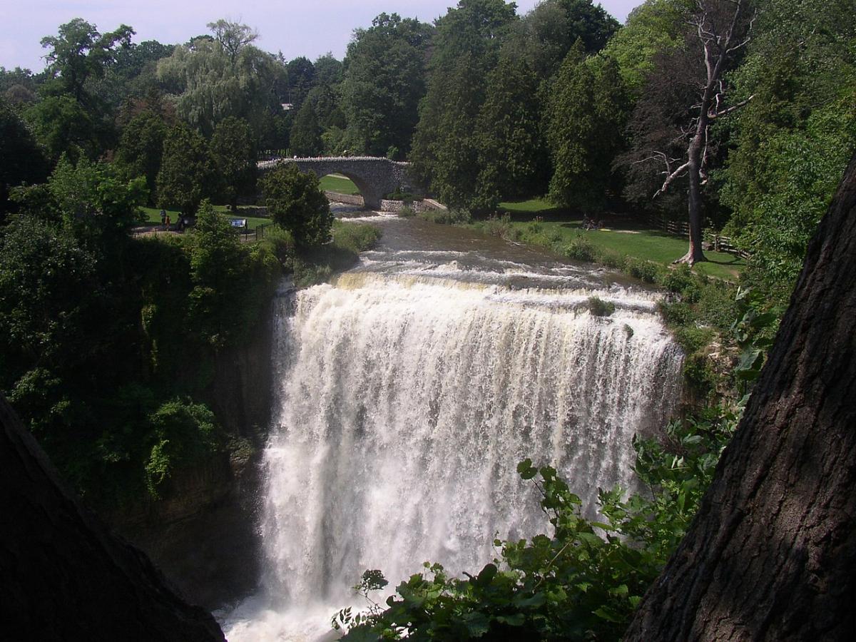 The Wonders of Spencer Gorge Conservation Area